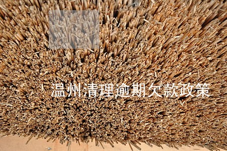 温州清理逾期欠款政策 温州清理逾期欠款政策