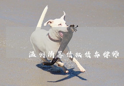 温州清算债权债务律师 温州清算债权债务律师
