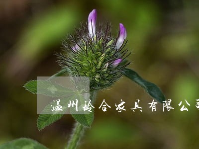 温州玲合家具有限公司法院诉讼