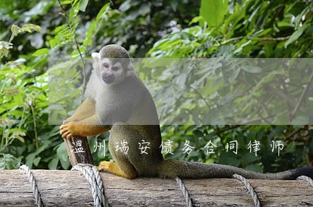 温州瑞安债务合同律师 温州瑞安债务合同律师