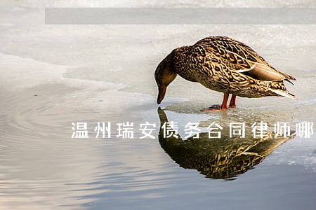 温州瑞安债务合同律师哪个好 温州瑞安债务合同律师哪个好