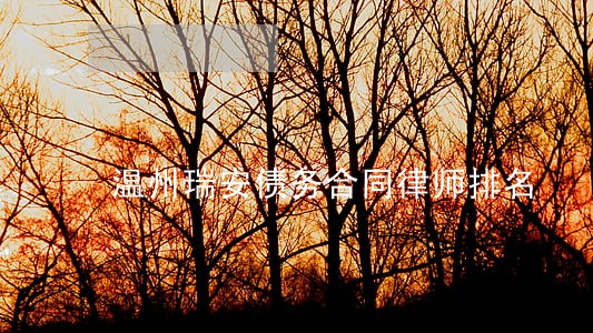 温州瑞安债务合同律师排名 温州瑞安债务合同律师排名