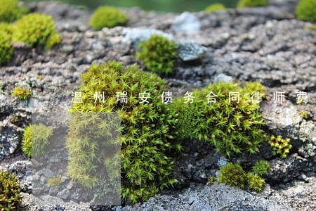 温州瑞安债务合同律师费用 温州瑞安债务合同律师费用