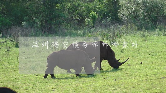 温州瑞安债务律师哪家好 温州瑞安债务律师哪家好