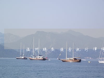 温州瑞安债务执行律师事务所 温州瑞安债务执行律师事务所