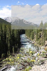 温州瑞安债务风险代理律师地址 温州瑞安债务风险代理律师地址