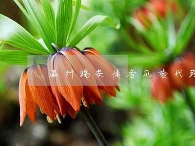 温州瑞安债务风险代理律师推荐 温州瑞安债务风险代理律师推荐