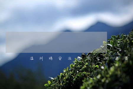 温州瑞安法院法官陈建昌 温州瑞安法院法官陈建昌