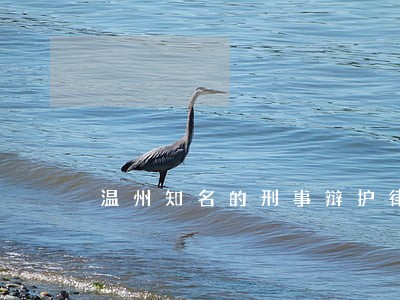 温州知名的刑事辩护律师收费标准 温州知名的刑事辩护律师收费标准