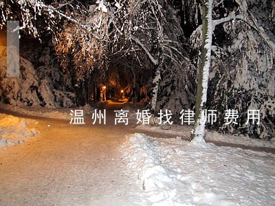 温州离婚找律师费用 温州离婚找律师费用