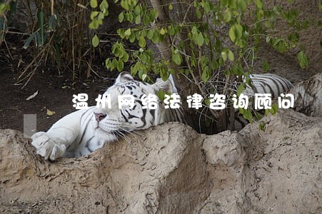 温州网络法律咨询顾问 温州网络法律咨询顾问