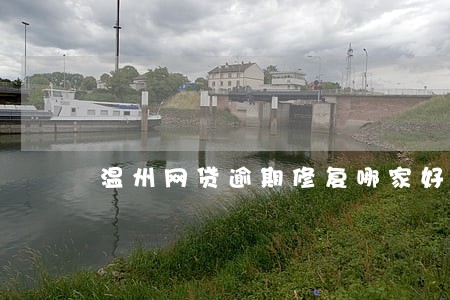温州网贷逾期修复哪家好 温州网贷逾期修复哪家好