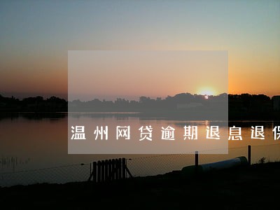 温州网贷逾期退息退保服务费用