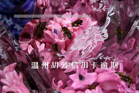 温州胡芳信用卡逾期 温州胡芳信用卡逾期