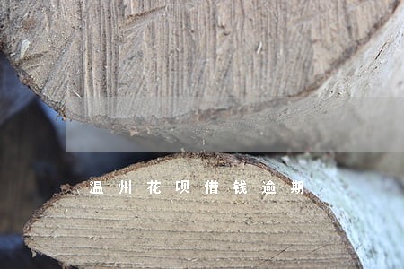 温州花呗借钱逾期