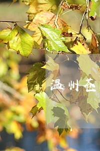 温州苍南律师事务所电话号码