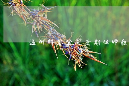 温州解答公司逾期律师欢迎咨询 温州解答公司逾期律师欢迎咨询
