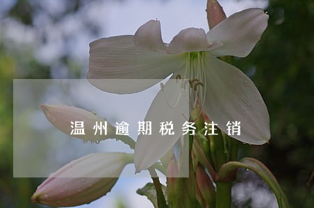 温州逾期税务注销 温州逾期税务注销