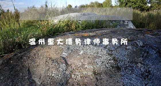 温州重大债务律师事务所 温州重大债务律师事务所