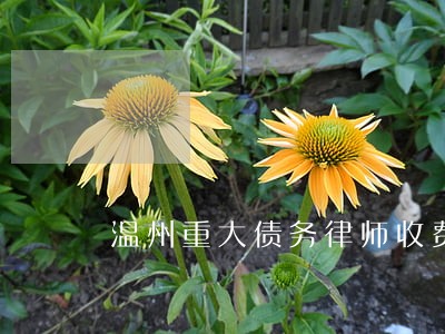 温州重大债务律师收费 温州重大债务律师收费