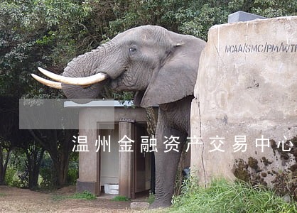 温州金融资产交易中心理财逾期 温州金融资产交易中心理财逾期