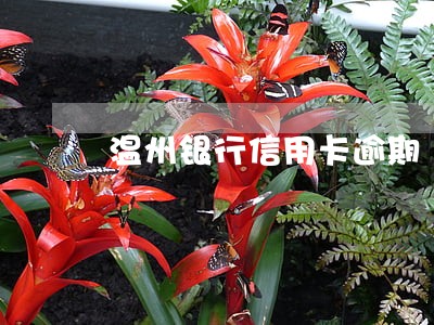 温州银行信用卡逾期 温州银行信用卡逾期