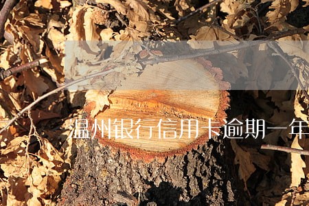 温州银行信用卡逾期一年 温州银行信用卡逾期一年