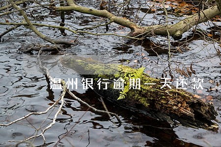 温州银行逾期一天还款 温州银行逾期一天还款