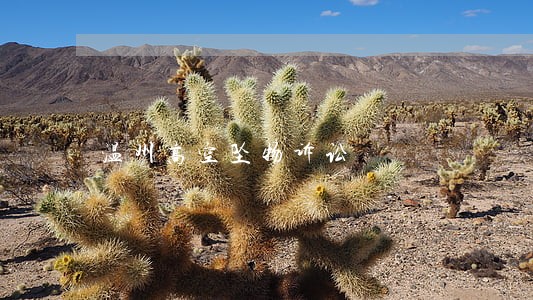 温州高空坠物诉讼 温州高空坠物诉讼
