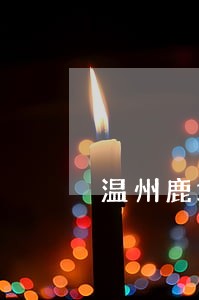 温州鹿城代理债务案律师多少钱 温州鹿城代理债务案律师多少钱