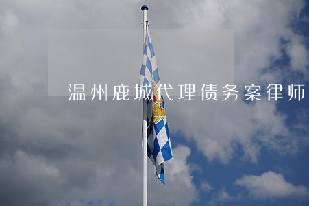 温州鹿城代理债务案律师费用 温州鹿城代理债务案律师费用