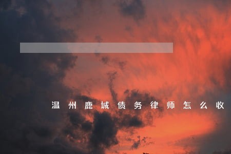 温州鹿城债务律师怎么收费 温州鹿城债务律师怎么收费