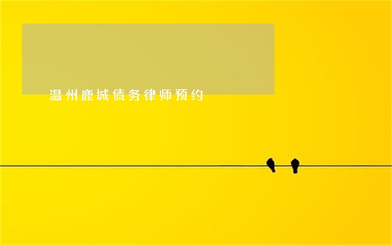 温州鹿城债务律师预约 温州鹿城债务律师预约