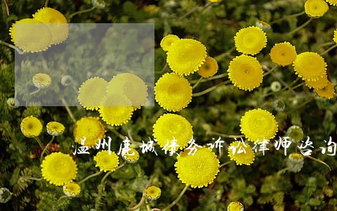 温州鹿城债务诉讼律师咨询热线 温州鹿城债务诉讼律师咨询热线