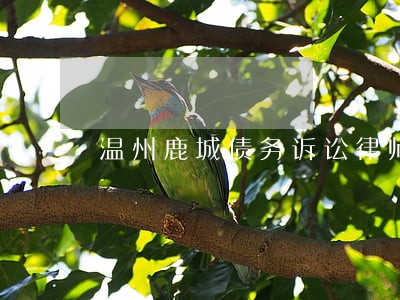 温州鹿城债务诉讼律师多少钱