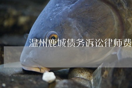 温州鹿城债务诉讼律师费用 温州鹿城债务诉讼律师费用