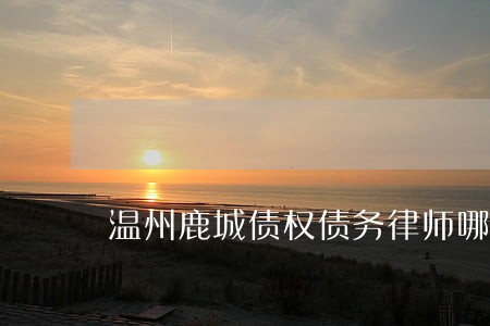 温州鹿城债权债务律师哪里找 温州鹿城债权债务律师哪里找