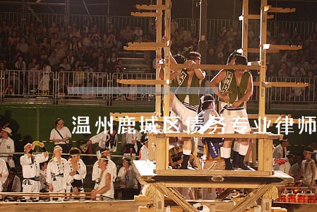 温州鹿城区债务专业律师网站