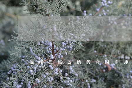 温州鹿城区债务合同律师咨询热线 温州鹿城区债务合同律师咨询热线