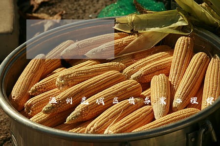 温州鹿城区债务案办理律师费用 温州鹿城区债务案办理律师费用