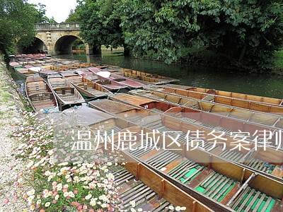 温州鹿城区债务案律师咨询热线