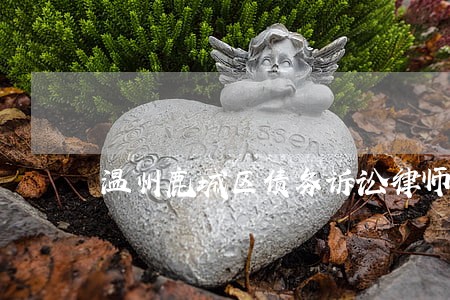 温州鹿城区债务诉讼律师 温州鹿城区债务诉讼律师