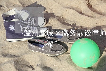 温州鹿城区债务诉讼律师怎么收费