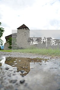 温州鹿城区律师事务所 温州鹿城区律师事务所