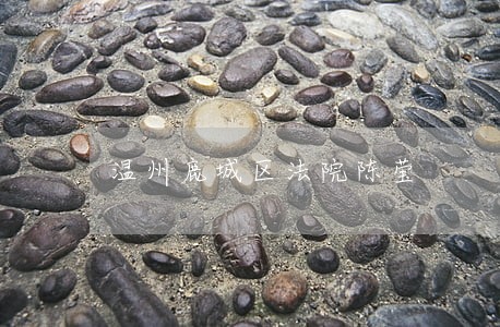 温州鹿城区法院陈莹 温州鹿城区法院陈莹