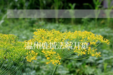 温州鹿城法院开庭 温州鹿城法院开庭