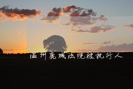 温州鹿城法院被执行人 温州鹿城法院被执行人