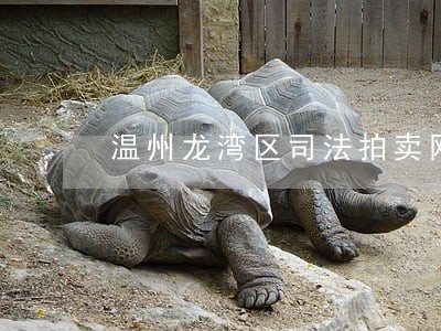 温州龙湾区司法拍卖网 温州龙湾区司法拍卖网