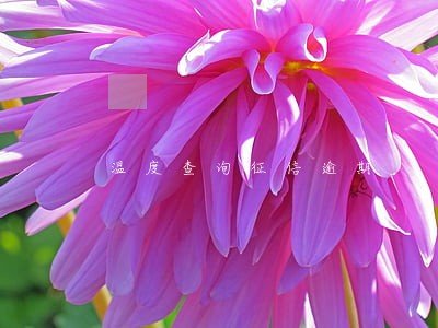 温度查询征信逾期 温度查询征信逾期
