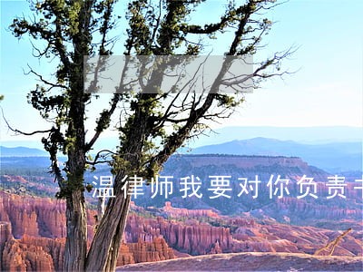 温律师我要对你负责书评 温律师我要对你负责书评